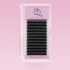 3DW shape lashes