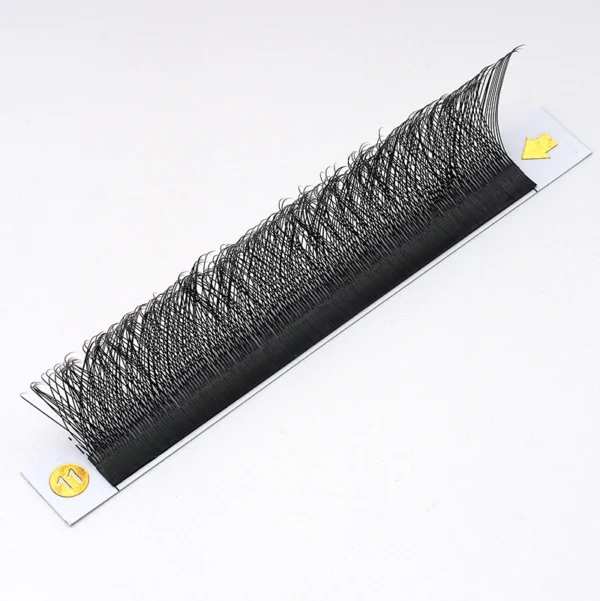3DW shape lashes
