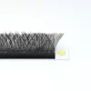 3DW shape lashes