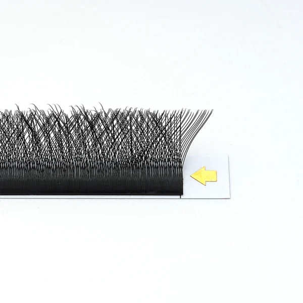 3DW shape lashes