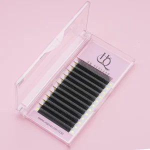 3DW shape lashes